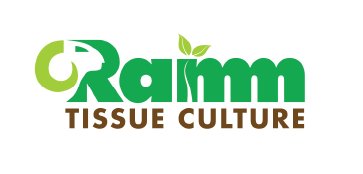 Ramm Tissue logo