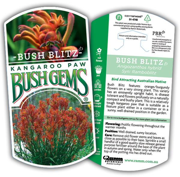 Bush Blitz - Image 4