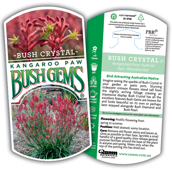 Bush Crystal - Image 4