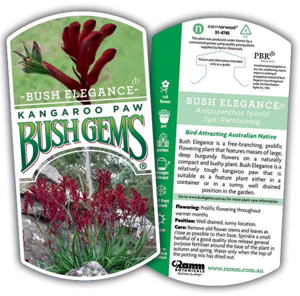 Bush Elegance - Image 4