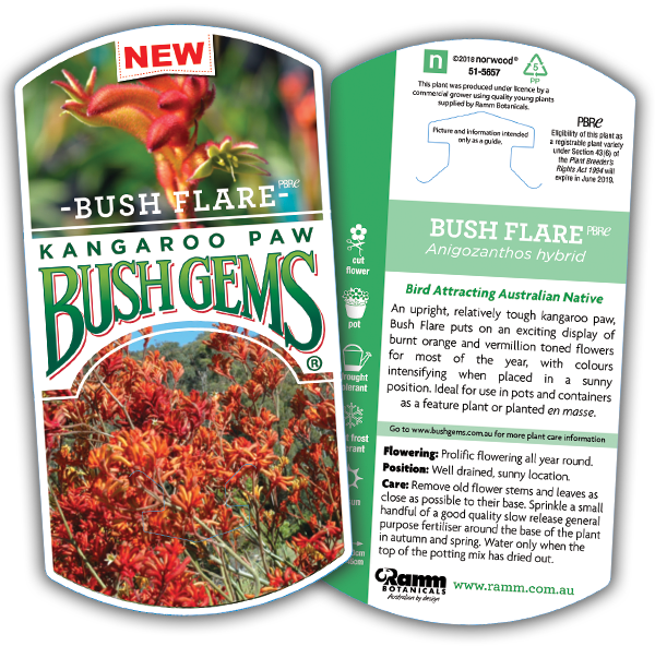 Bush Flare - Image 4