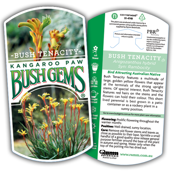 Bush Tenacity - Image 3