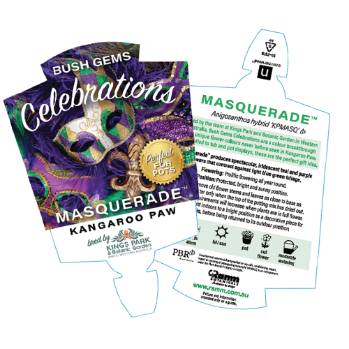 Masquerade - Image 4