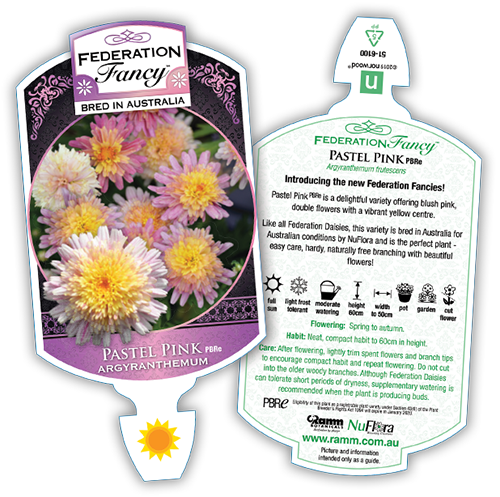 Pastel Pink - Image 4