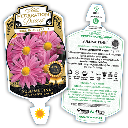 Sublime Pink - Image 4