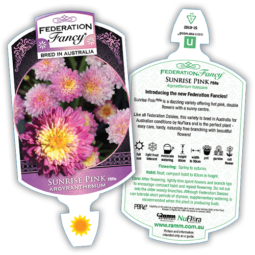 Sunrise Pink - Image 4