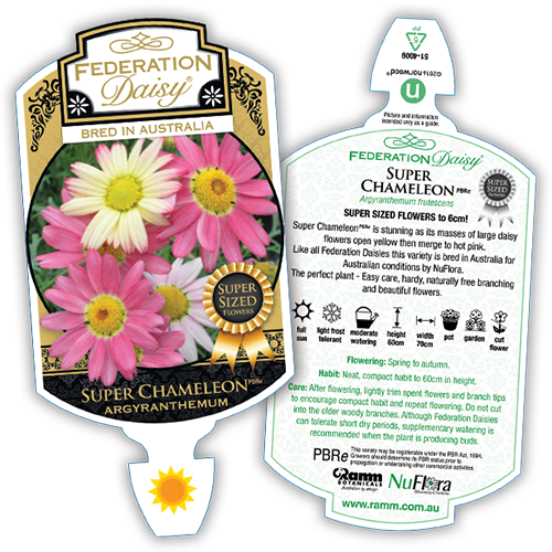 Super Chameleon - Image 4