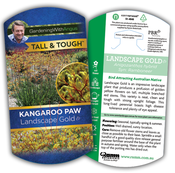 Landscape Gold - Image 4