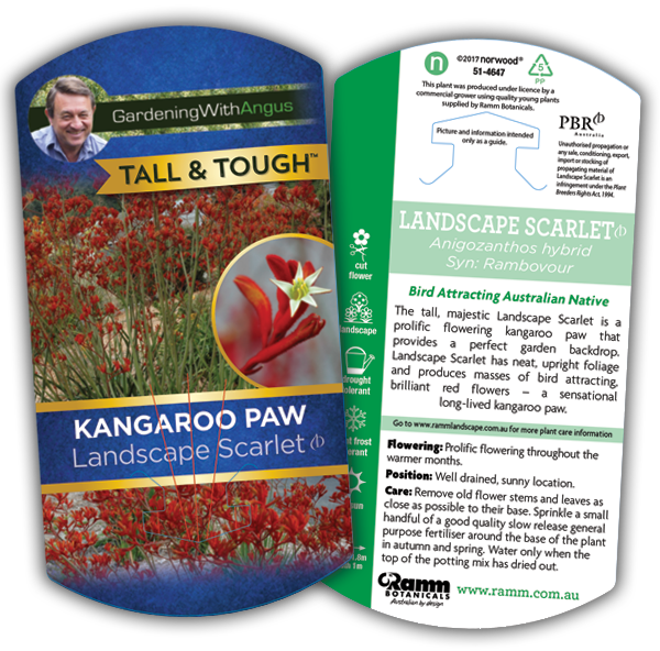 Landscape Scarlet - Image 4