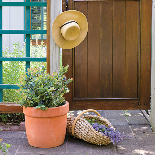 Pink Icing - Image 3