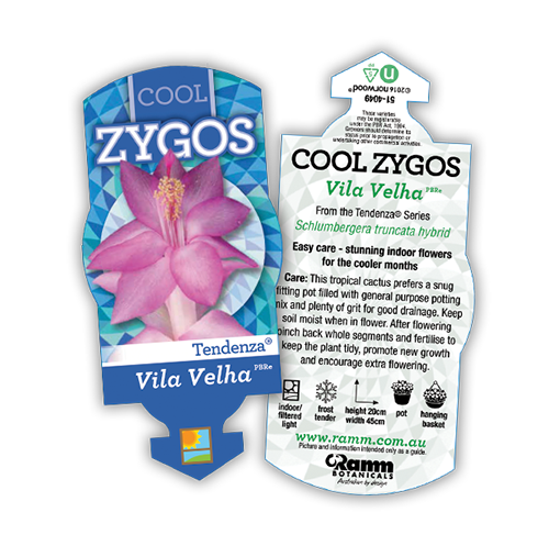 Vila Velha - Image 4